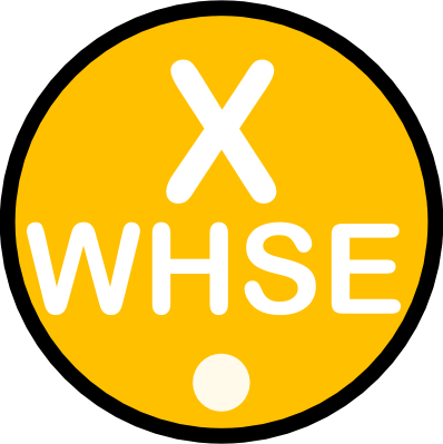 GOGGLES : Speedo Fastskin 3 Elite Mirror